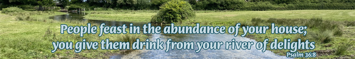 People feast in the abundance of your house; you give them drink from your river of delights