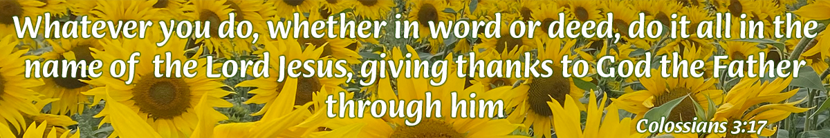 colossians 3:17