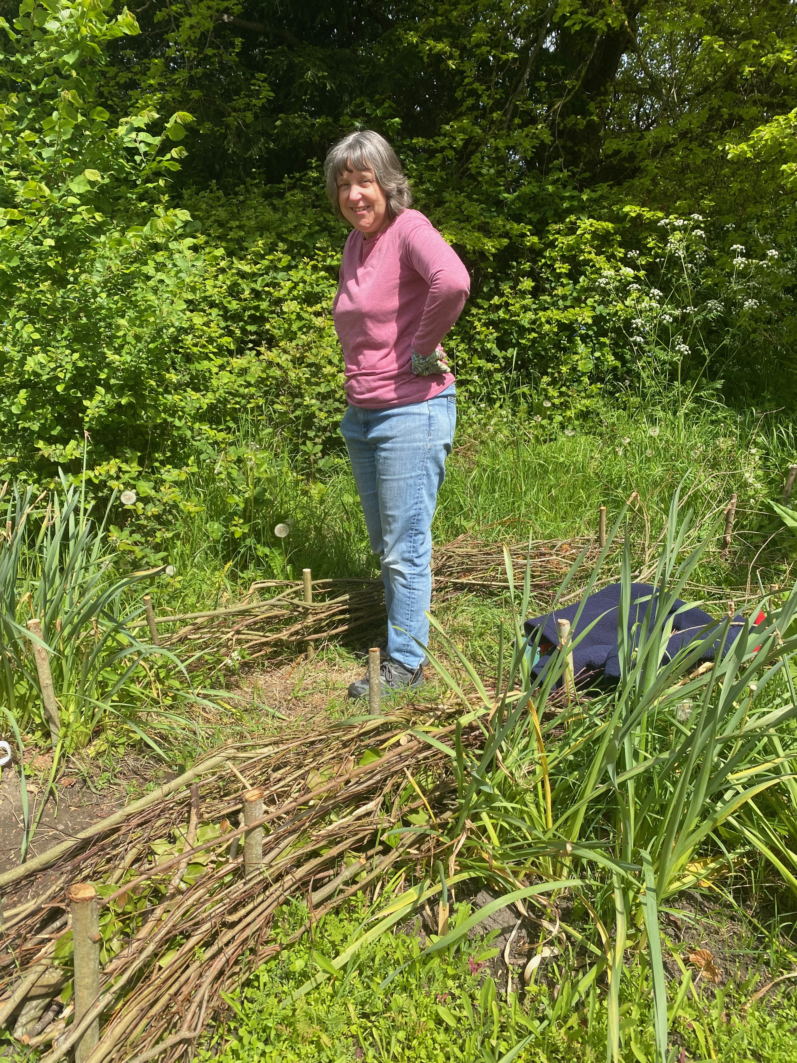 Brigitte building a dead hedge