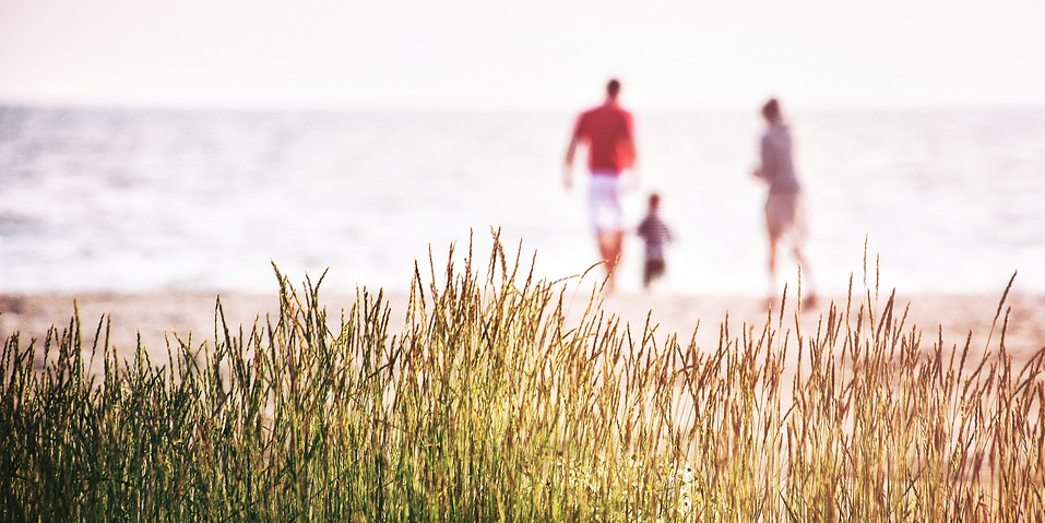 family at the beach - pixabay (https://pixabay.com/photos/sea-grass-nature-beach-coast-4847987/) - Dave Gerber