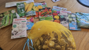 thanks to Hook in bloom for bulbs and seeds, always gratefully received