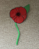 Junior Church made poppies
